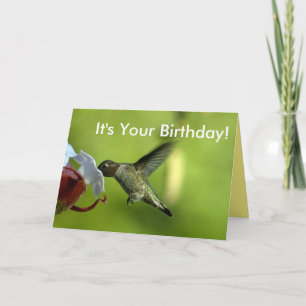 Hummingbird Birthday Card