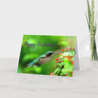 Hummingbird Birthday