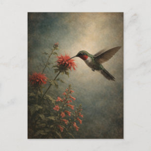 Hummingbird Bloom   Floral Bird Art   Postcard