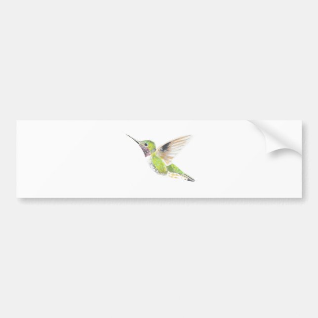 Hummingbird Bumper Sticker (Front)