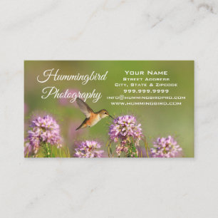 Hummingbird Business Card
