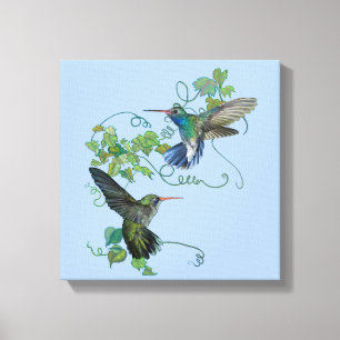 Hummingbird Canvas Print