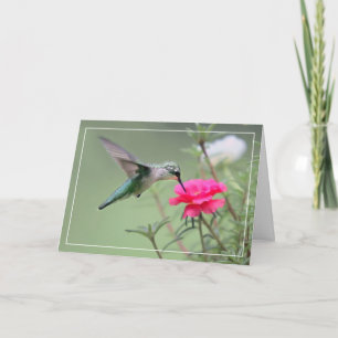 Hummingbird Card