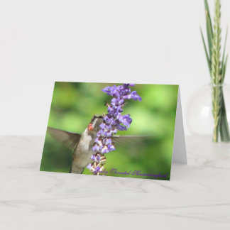 Hummingbird Card 2