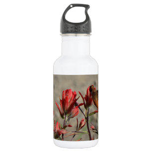 Hummingbird cardinal flowers 532 ml water bottle