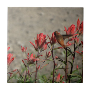 Hummingbird cardinal flowers tile