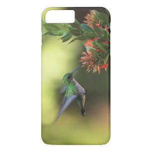 Hummingbird Case-Mate iPhone Case