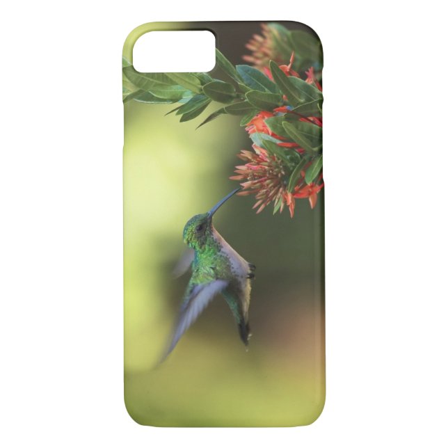 Hummingbird Case-Mate iPhone Case (Back)