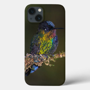Hummingbird iPhone 13 Case