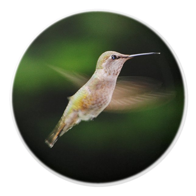 Hummingbird Ceramic knob (Front)