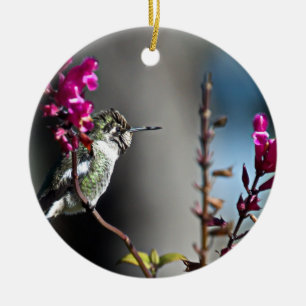 Hummingbird Ceramic Tree Decoration