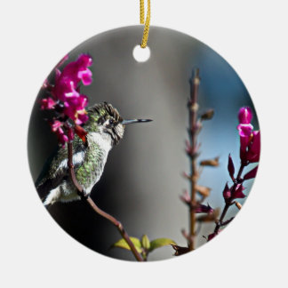 Hummingbird Ceramic Tree Decoration