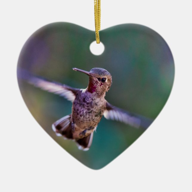 Hummingbird Ceramic Tree Decoration (Front)