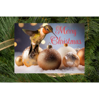 Hummingbird Christmas Card