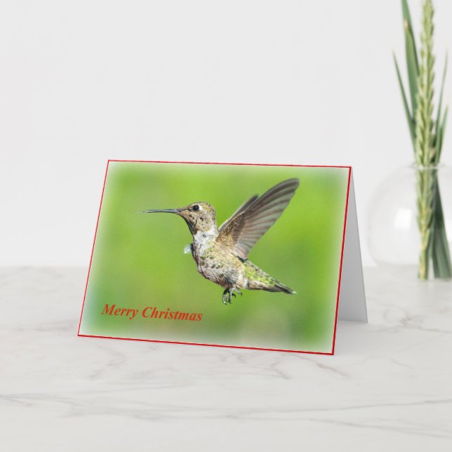 Hummingbird Christmas Greeting Card (Front)