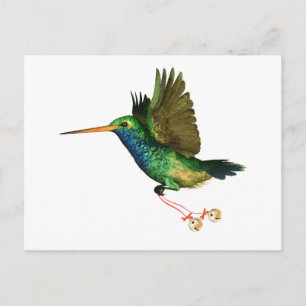 Hummingbird Christmas Holiday Postcard