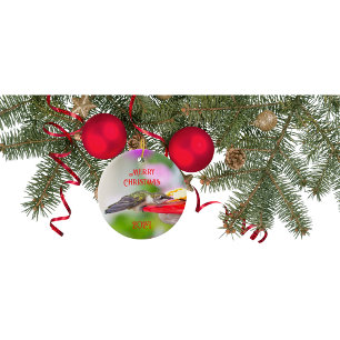 Hummingbird Christmas Ornament