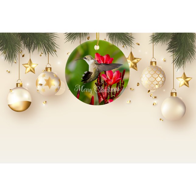 Hummingbird Christmas Ornament (Creator Uploaded)