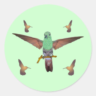 Hummingbird Classic Round Sticker