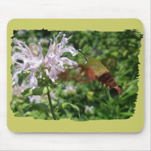 Hummingbird Clear Wing Moth Coordinating Items Mouse Pad