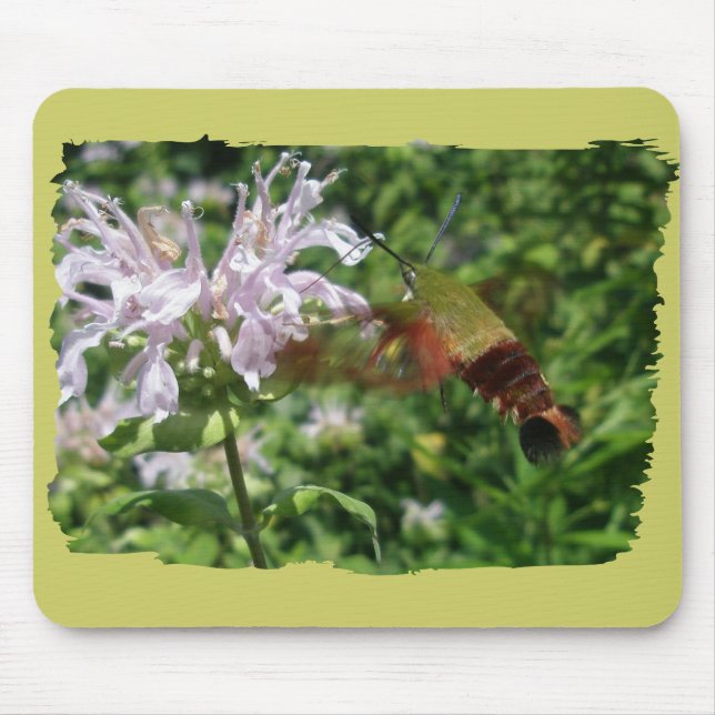Hummingbird Clear Wing Moth Coordinating Items Mouse Pad (Front)