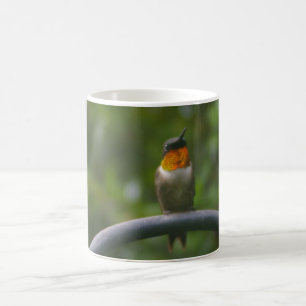 Hummingbird Coffee Mug