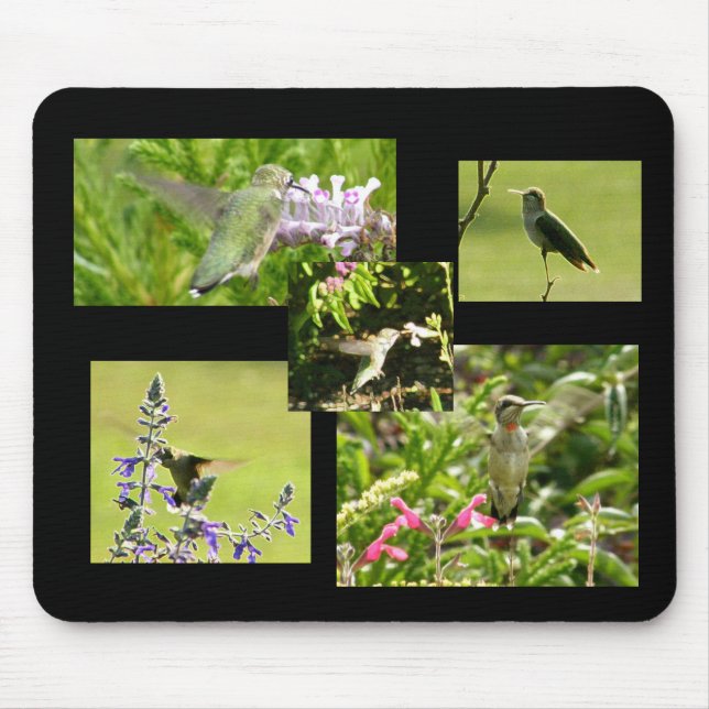 Hummingbird Collage Mouse Pad (Front)