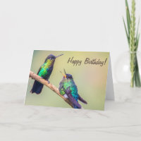 Hummingbird Couple Talking Happy Birthday