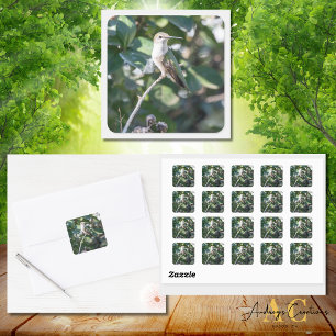Hummingbird Design #4Q7A9974 Square Sticker