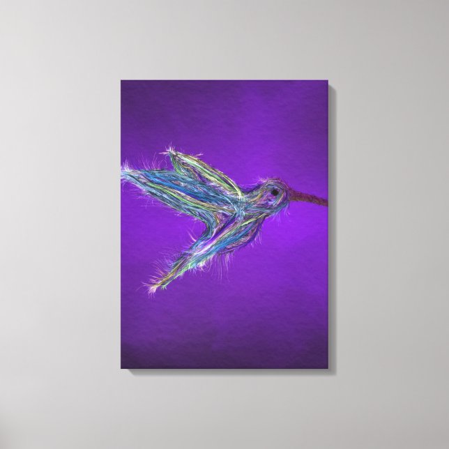Hummingbird Drawing Canvas Print (Front)