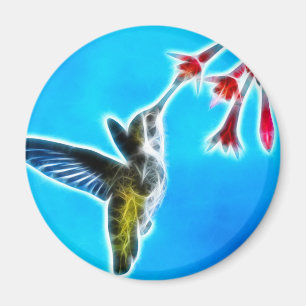 Hummingbird Eating Nectar Magnet