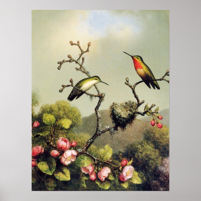 Hummingbird Family and Apple Blossom Poster (Front)