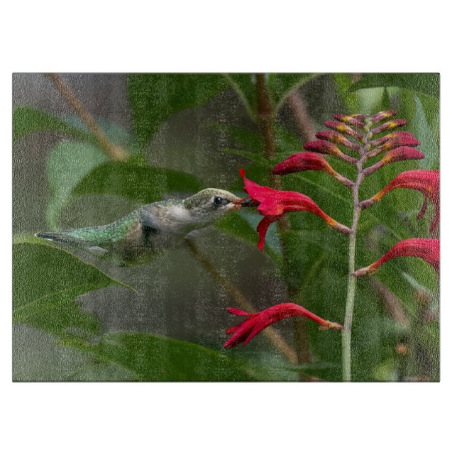 Hummingbird Feeding At Red Crocosmia Cutting Board (Front)