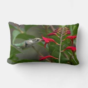 Hummingbird Feeding At Red Crocosmia Lumbar Cushion