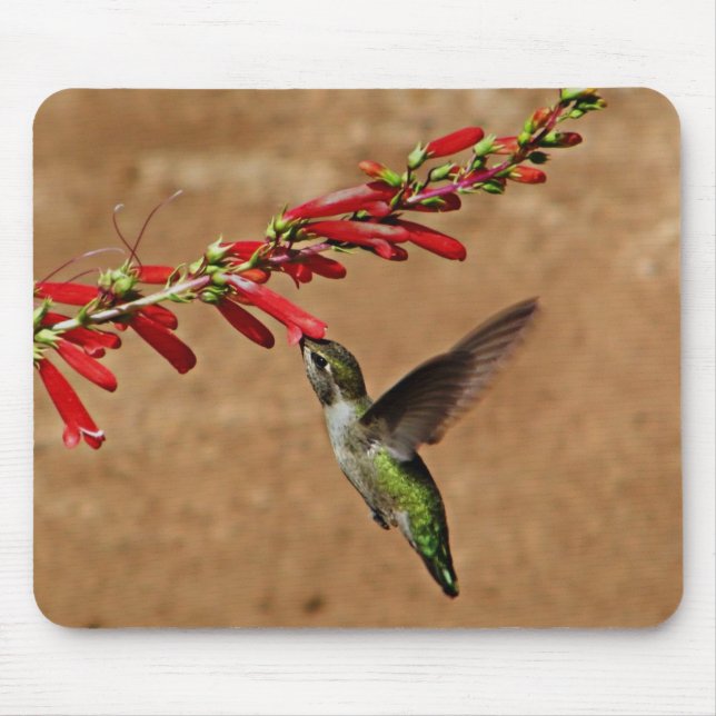 Hummingbird Feeding at the Garden Mouse Pad (Front)