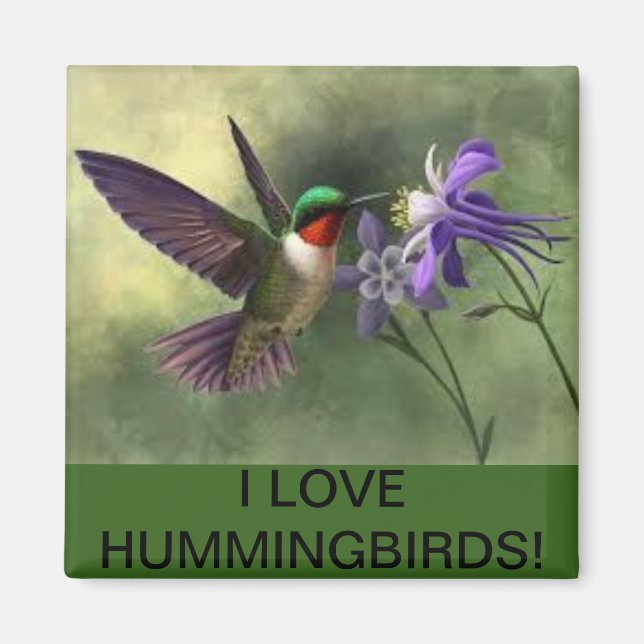 Hummingbird Feeding on a Flower Bloom Magnet (Front)