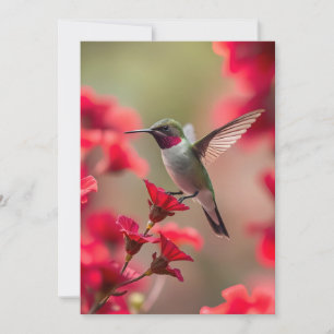 Hummingbird - Flat Greeting Card