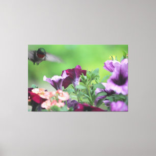 Hummingbird Floral Print