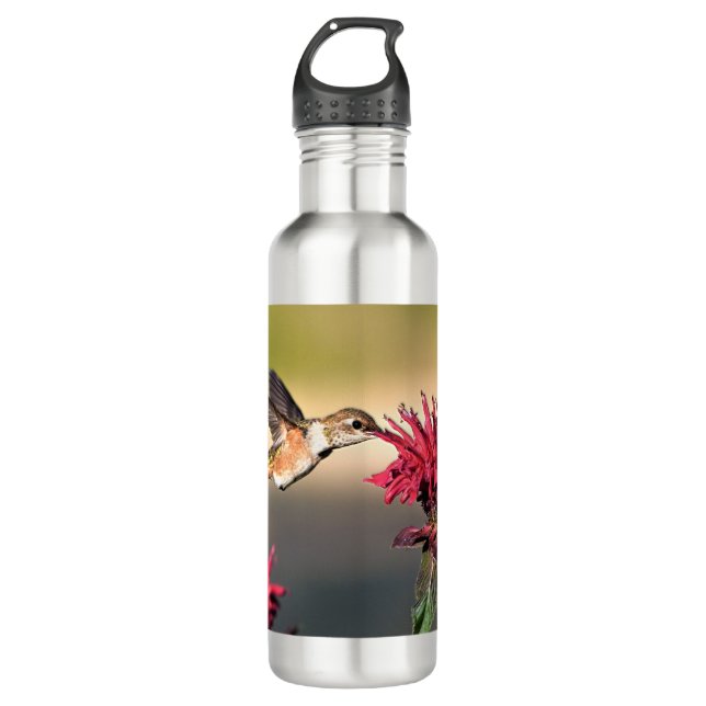 Hummingbird Flower Feeding 710 Ml Water Bottle (Front)