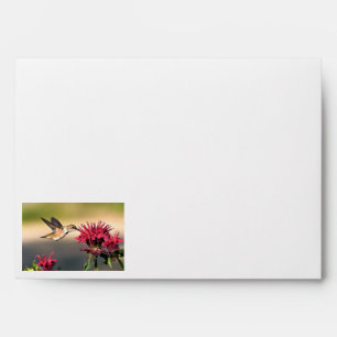 Hummingbird Flower Feeding Envelope