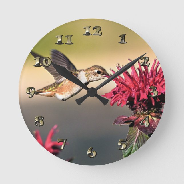 Hummingbird Flower Feeding Round Clock (Front)