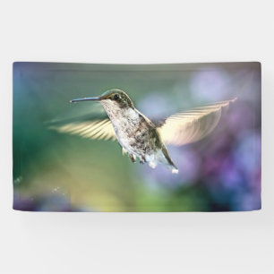 Hummingbird Flying Banner