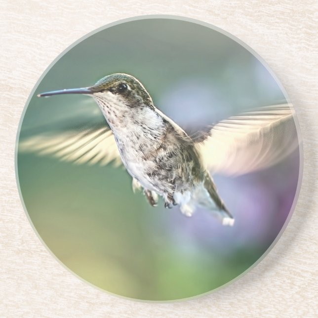 Hummingbird Flying Coaster (Front)