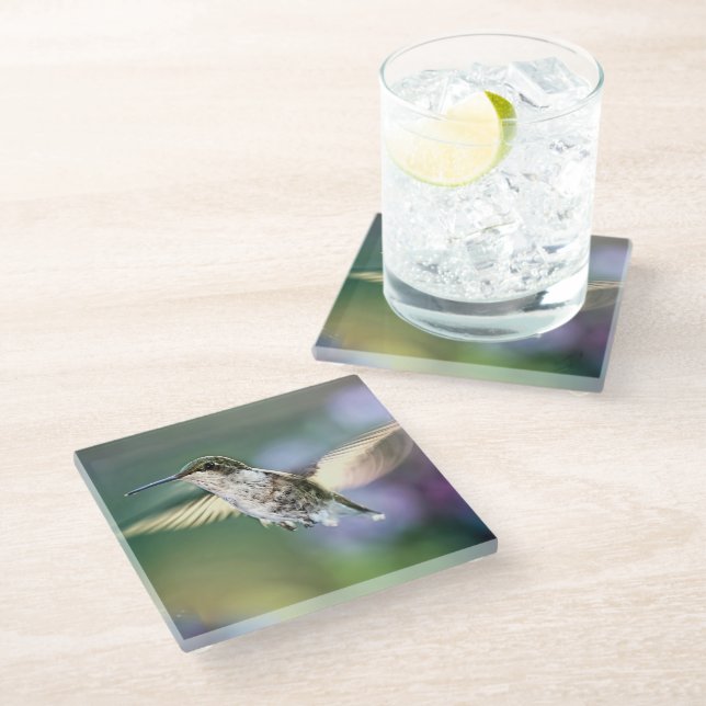 Hummingbird Flying Glass Coaster (Angled)