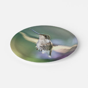 Hummingbird Flying Paper Plate