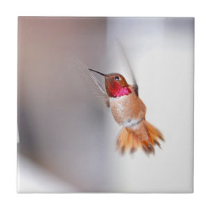 Hummingbird Flying Photo Tile