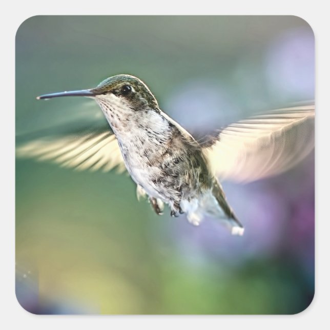 Hummingbird Flying Square Sticker (Front)