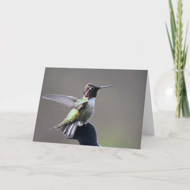 Hummingbird Frameable Art Card (Front)