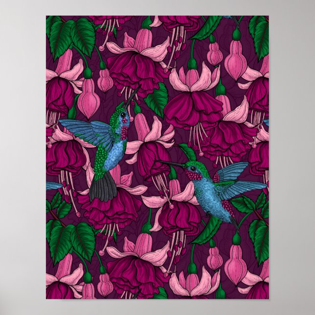 Hummingbird garden poster (Front)