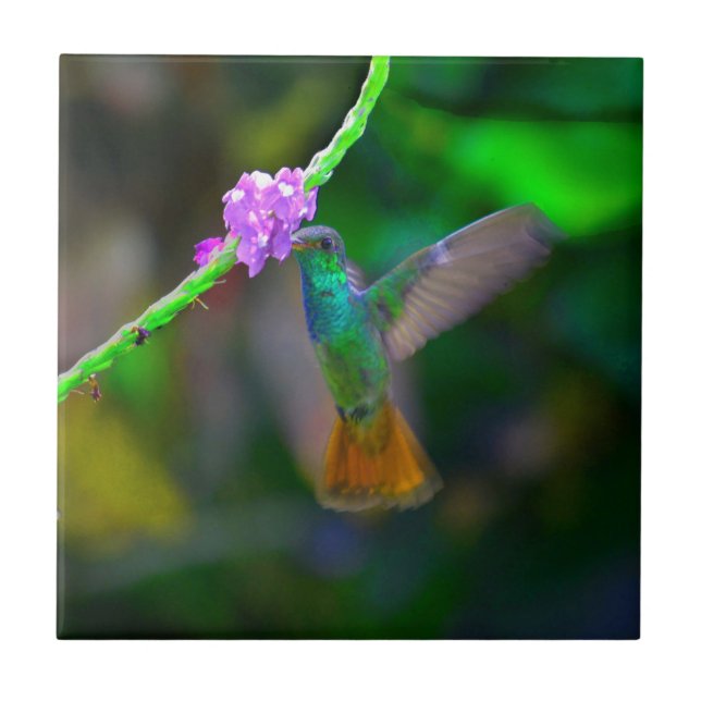 Hummingbird Garden Tile (Front)